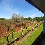 Apartman And Hacienda Stelio