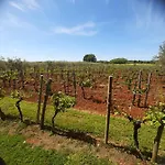 And Hacienda Stelio * Poreč
