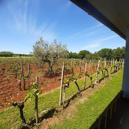 Lejlighed And Hacienda Stelio