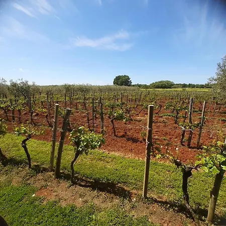 And Hacienda Stelio * Porec