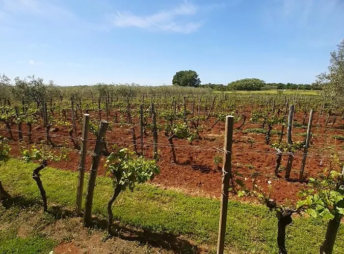 And Hacienda Stelio * Poreč