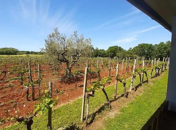 Daire And Hacienda Stelio